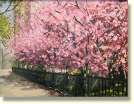 Cherry Blossom Way